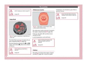 Seat-Ateca-owners-manual page 52 min