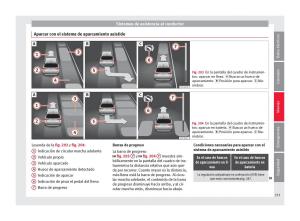 Seat-Ateca-manual-del-propietario page 255 min