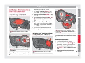 Seat-Ateca-manuale-del-proprietario page 103 min