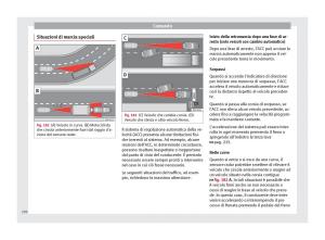 Seat-Ateca-manuale-del-proprietario page 222 min