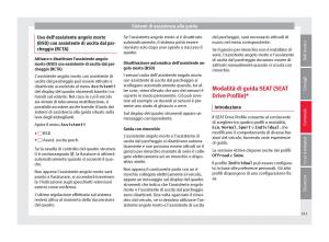 Seat-Ateca-manuale-del-proprietario page 243 min