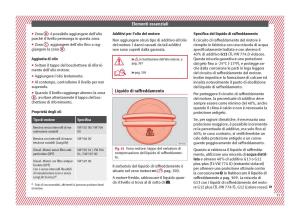 Seat-Ateca-manuale-del-proprietario page 53 min