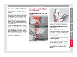 Seat-Ateca-manuale-del-proprietario page 77 min