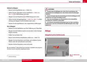 Seat-Ibiza-III-3-Handbuch page 117 min