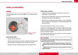 Seat-Ibiza-III-3-Handbuch page 183 min