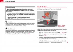 Seat-Ibiza-III-3-Handbuch page 188 min