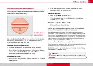 Seat-Ibiza-III-3-Handbuch page 195 min