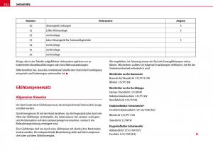 Seat-Ibiza-III-3-Handbuch page 224 min