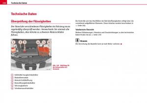 Seat-Ibiza-III-3-Handbuch page 246 min