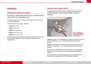 Seat-Ibiza-III-3-Handbuch page 49 min