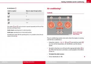 Seat-Ibiza-III-3-owners-manual page 121 min