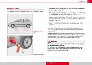 Seat-Ibiza-III-3-owners-manual page 203 min