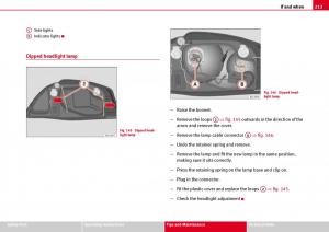 Seat-Ibiza-III-3-owners-manual page 215 min