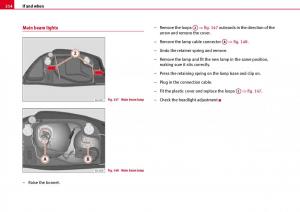 Seat-Ibiza-III-3-owners-manual page 216 min