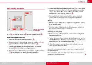 Seat-Ibiza-III-3-owners-manual page 225 min