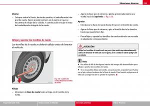 Seat-Ibiza-III-3-manual-del-propietario page 215 min