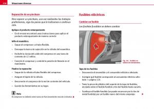 Seat-Ibiza-III-3-manual-del-propietario page 220 min