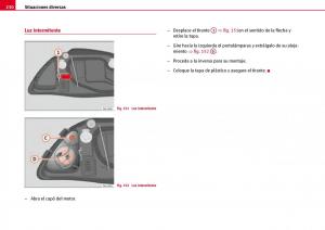 Seat-Ibiza-III-3-manual-del-propietario page 232 min