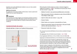 Seat-Ibiza-III-3-manuale-del-proprietario page 193 min