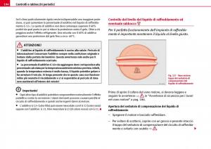 Seat-Ibiza-III-3-manuale-del-proprietario page 196 min