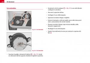 Seat-Ibiza-III-3-manuale-del-proprietario page 232 min