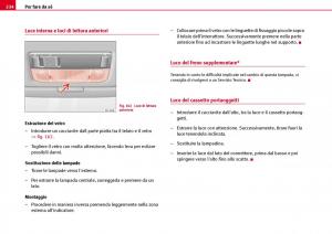 Seat-Ibiza-III-3-manuale-del-proprietario page 236 min