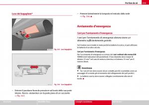 Seat-Ibiza-III-3-manuale-del-proprietario page 237 min