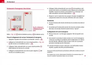 Seat-Ibiza-III-3-manuale-del-proprietario page 238 min