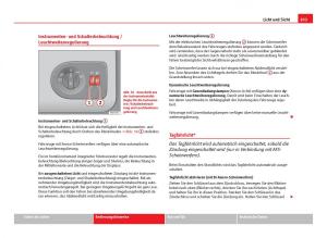 Seat-Ibiza-IV-4-Handbuch page 105 min