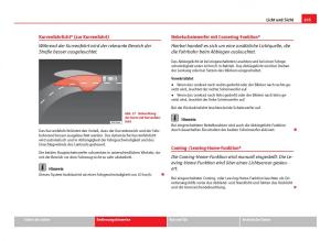 Seat-Ibiza-IV-4-Handbuch page 107 min