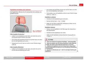 Seat-Ibiza-IV-4-Handbuch page 123 min