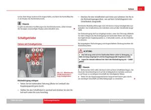 Seat-Ibiza-IV-4-Handbuch page 157 min