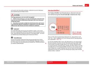 Seat-Ibiza-IV-4-Handbuch page 185 min