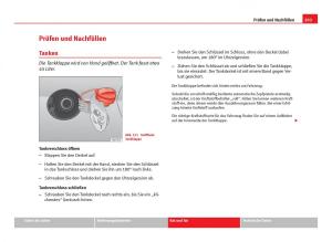 Seat-Ibiza-IV-4-Handbuch page 205 min