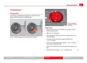 Seat-Ibiza-IV-4-Handbuch page 207 min