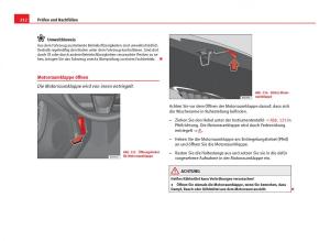 Seat-Ibiza-IV-4-Handbuch page 214 min