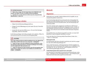 Seat-Ibiza-IV-4-Handbuch page 215 min