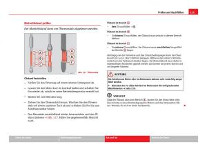 Seat-Ibiza-IV-4-Handbuch page 217 min