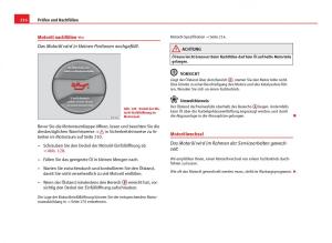 Seat-Ibiza-IV-4-Handbuch page 218 min