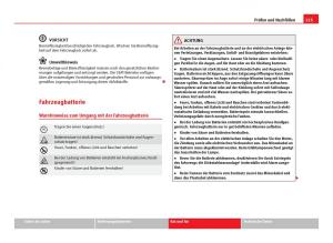 Seat-Ibiza-IV-4-Handbuch page 227 min