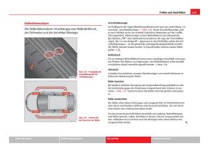 Seat-Ibiza-IV-4-Handbuch page 231 min