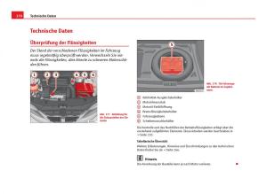 Seat-Ibiza-IV-4-Handbuch page 272 min