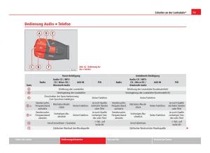 Seat-Ibiza-IV-4-Handbuch page 81 min