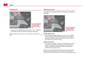 Seat-Ibiza-IV-4-owners-manual page 166 min