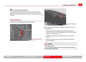 Seat-Ibiza-IV-4-owners-manual page 203 min