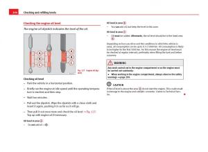 Seat-Ibiza-IV-4-owners-manual page 206 min