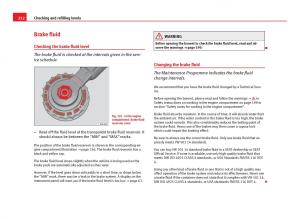 Seat-Ibiza-IV-4-owners-manual page 214 min