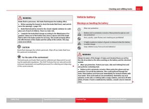 Seat-Ibiza-IV-4-owners-manual page 215 min