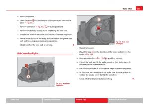 Seat-Ibiza-IV-4-owners-manual page 239 min