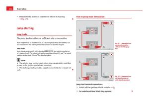 Seat-Ibiza-IV-4-owners-manual page 248 min